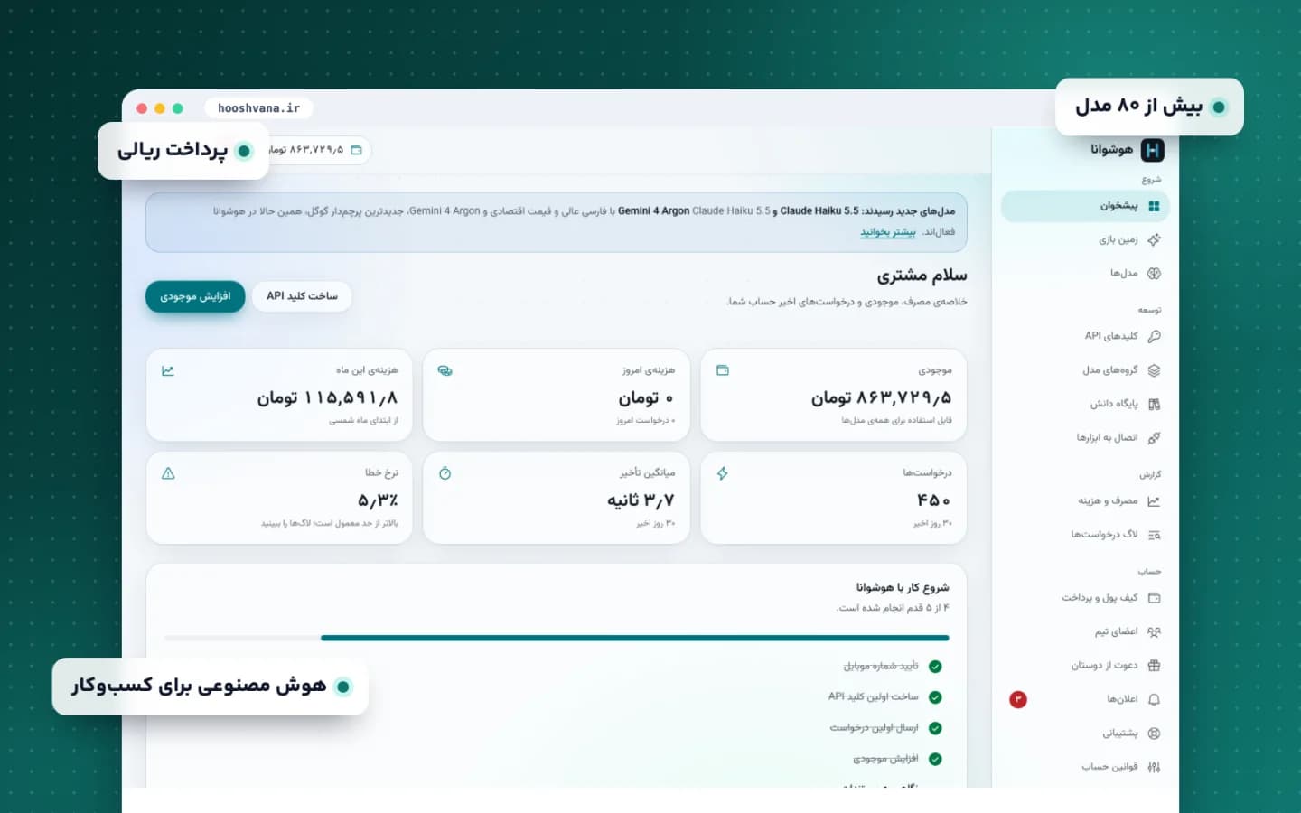 پیشخوان کاربری هوشوانا با موجودی کیف پول، مصرف و کلیدهای API